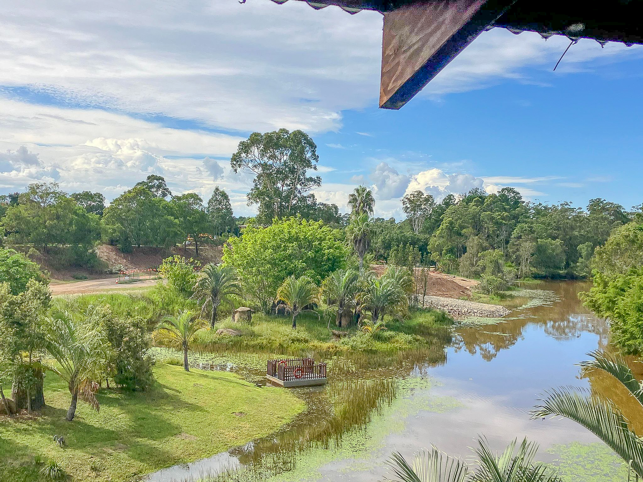 Cheetah Enclosure construction (behind lemur island)