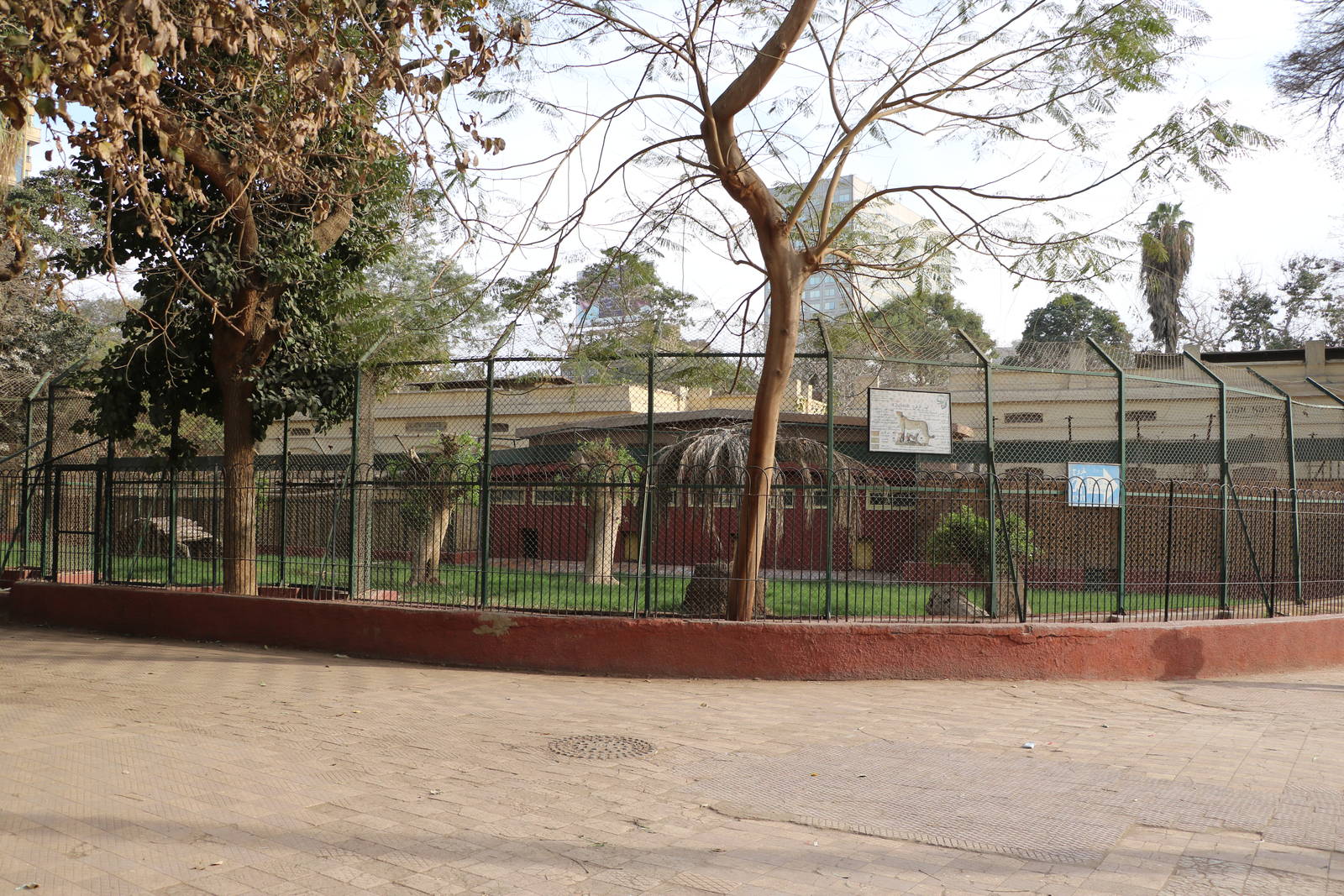 Cheetah enclosure, February 2016