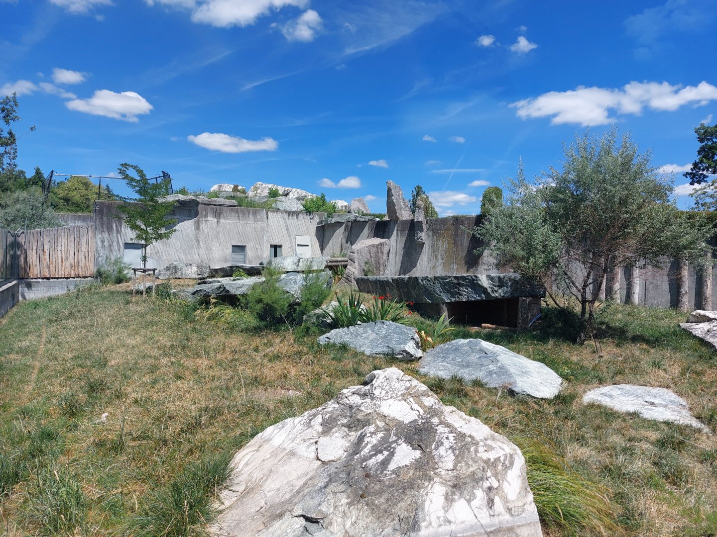 Cheetah enclosure - formerly polar bears