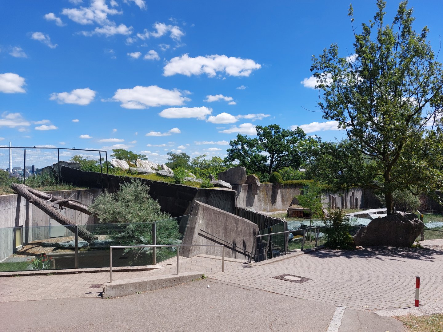 Cheetah enclosure - formerly polar bears