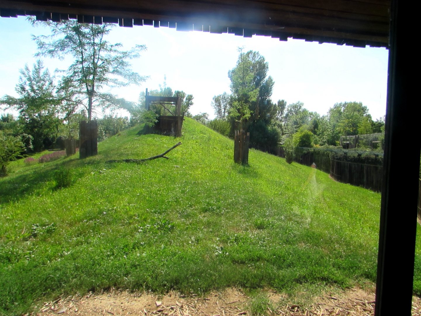 Cheetah enclosure - July/2017