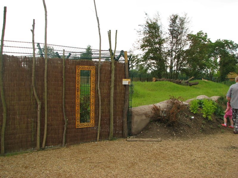 Cheetah enclosure