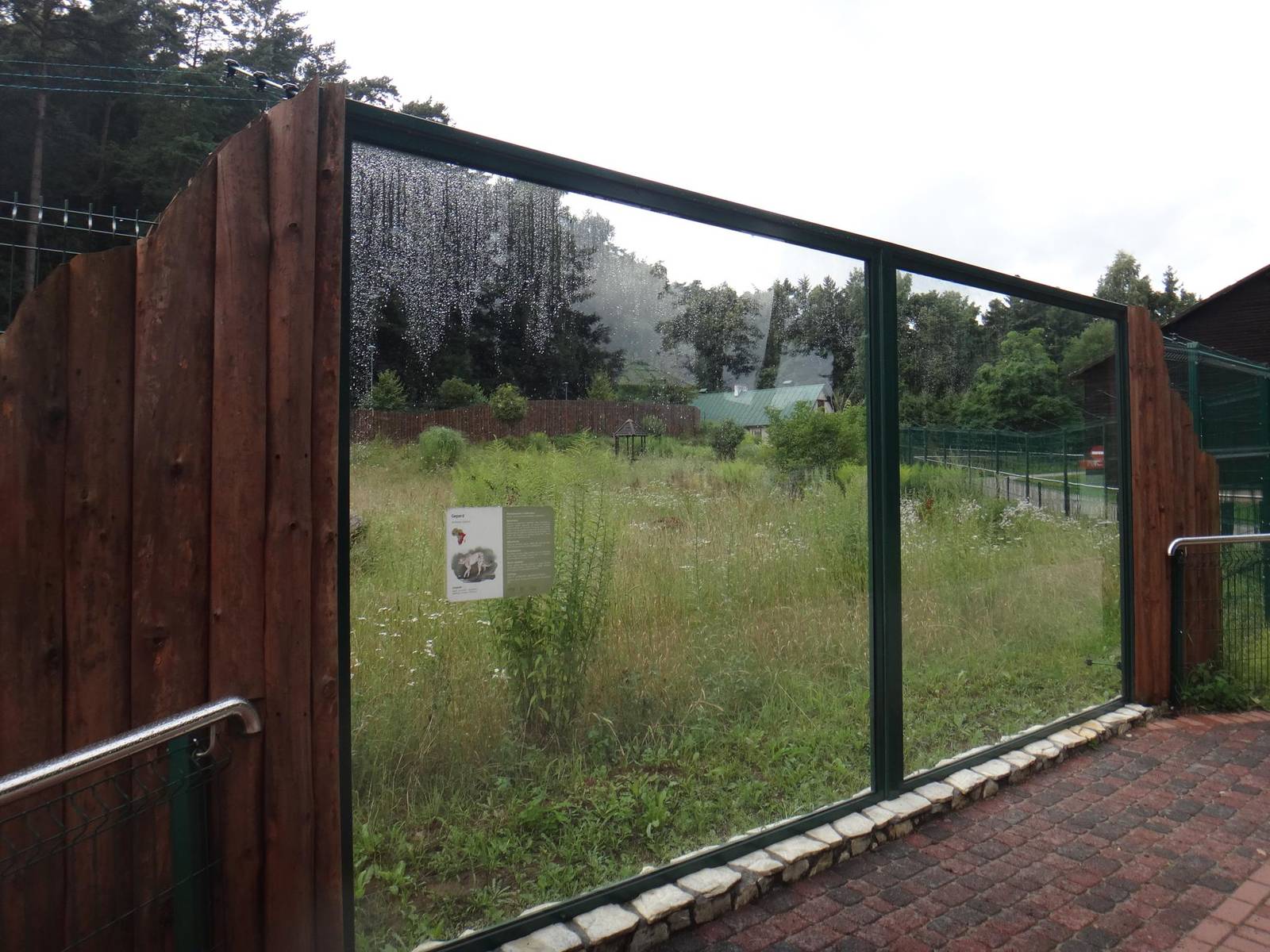 Cheetah enclosure