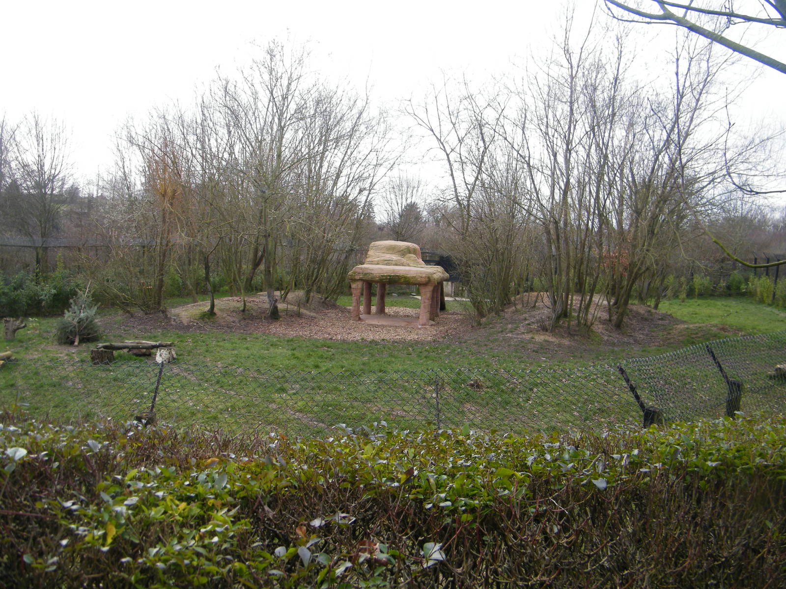 cheetah enclosure