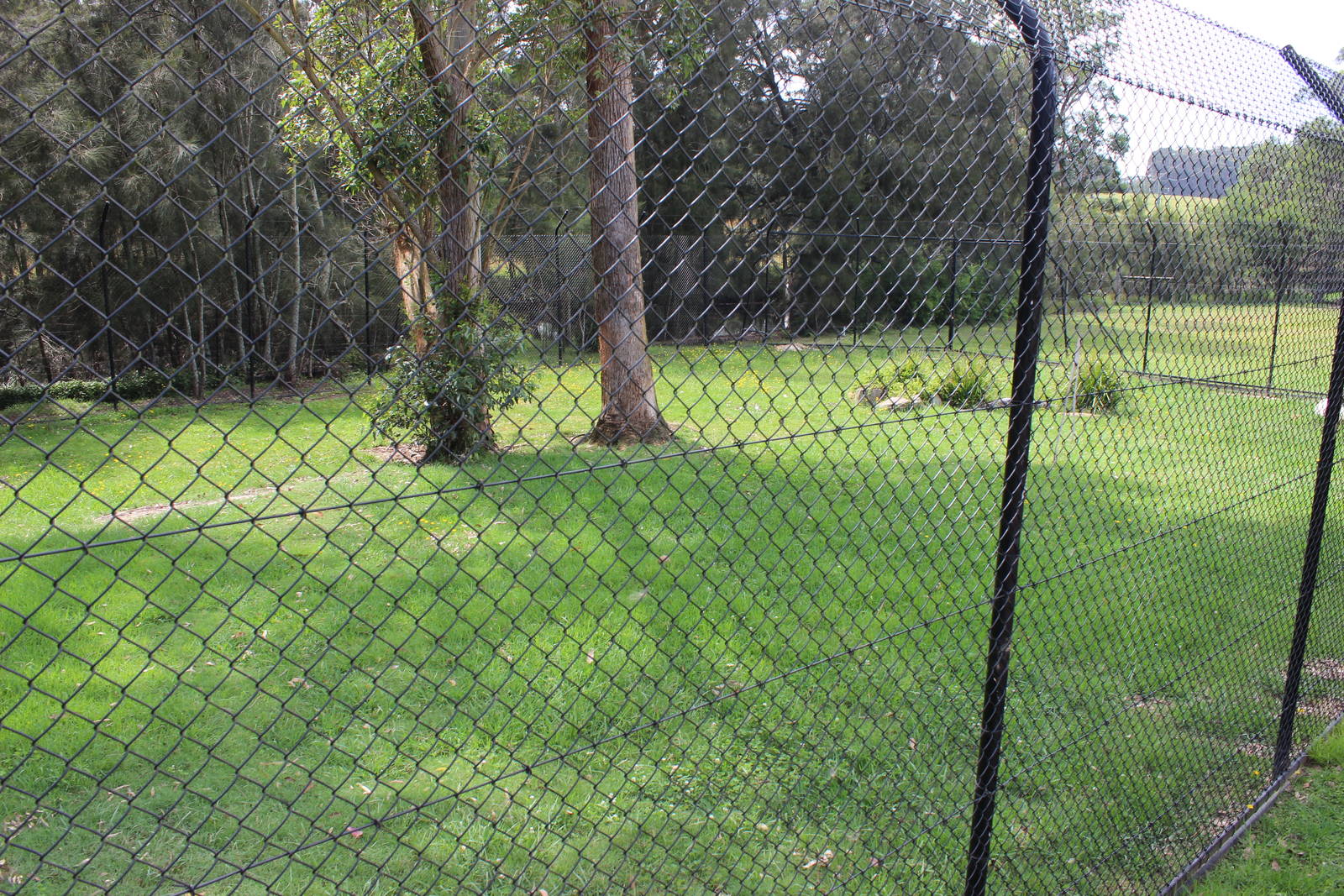 Cheetah enclosure