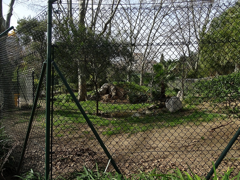 Cheetah enclosure