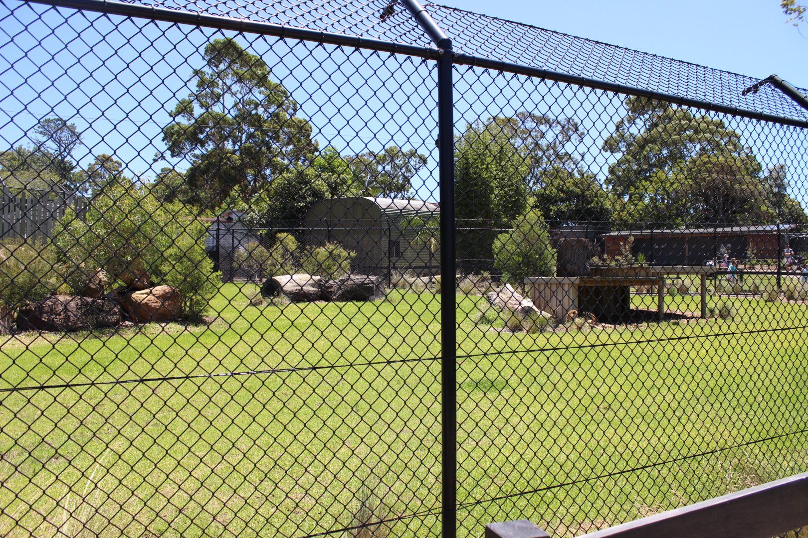 Cheetah Enclosure
