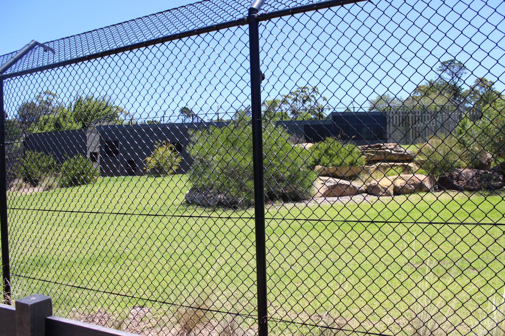 Cheetah Enclosure