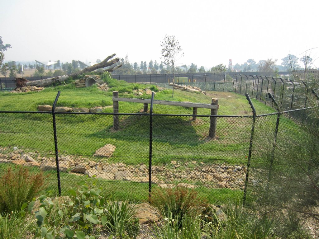 Cheetah Enclosure
