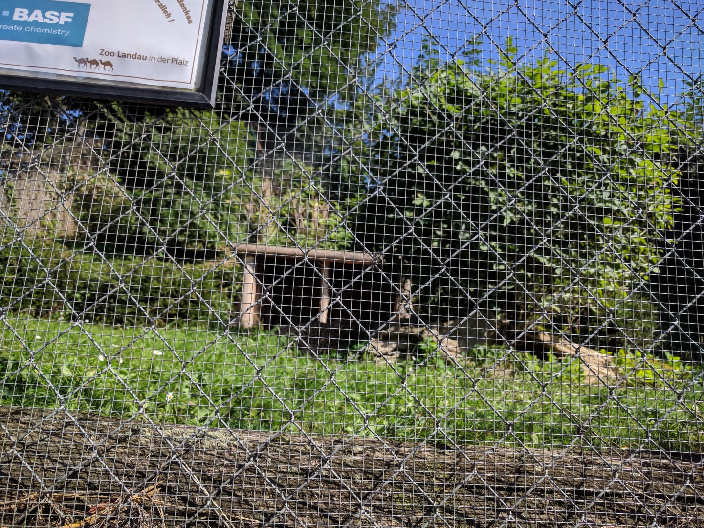 Cheetah Enclosure