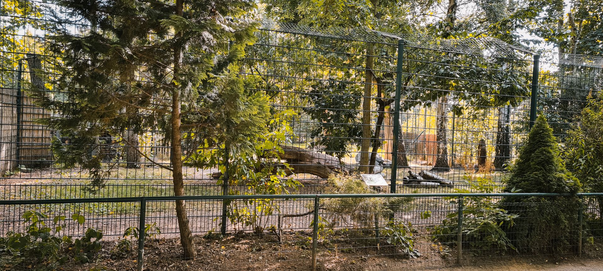 Cheetah enclosure
