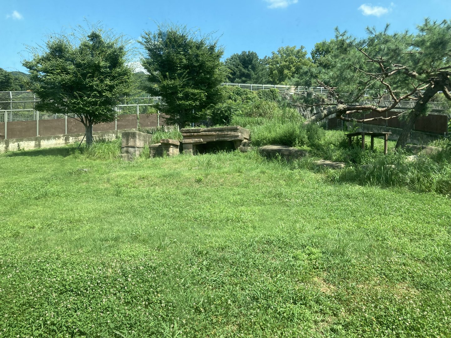 Cheetah enclosure