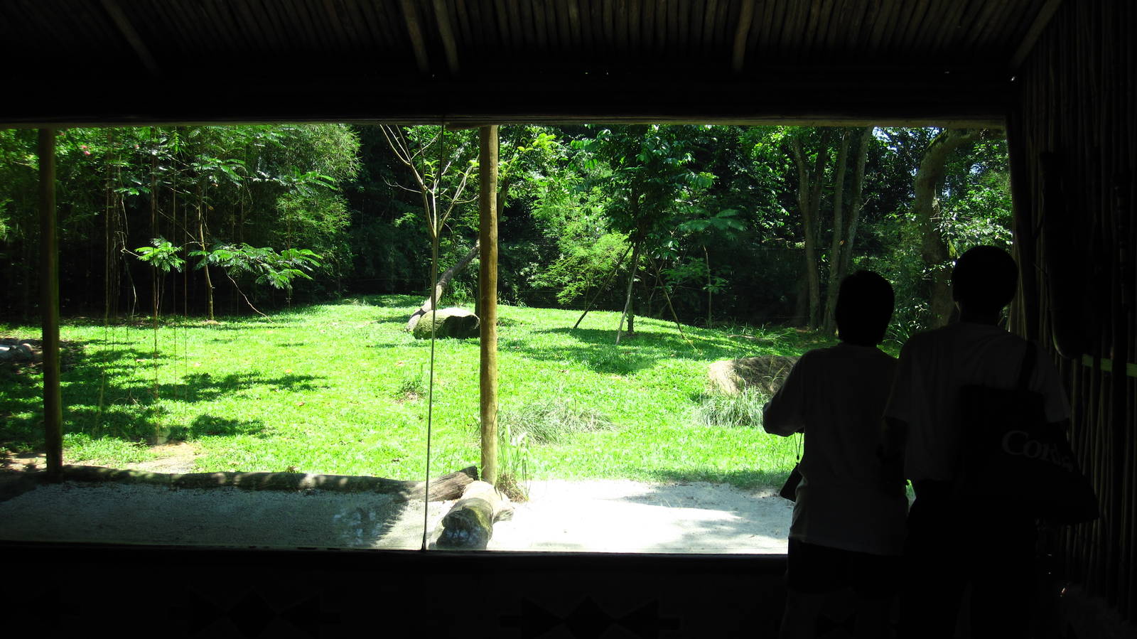 Cheetah enclosure