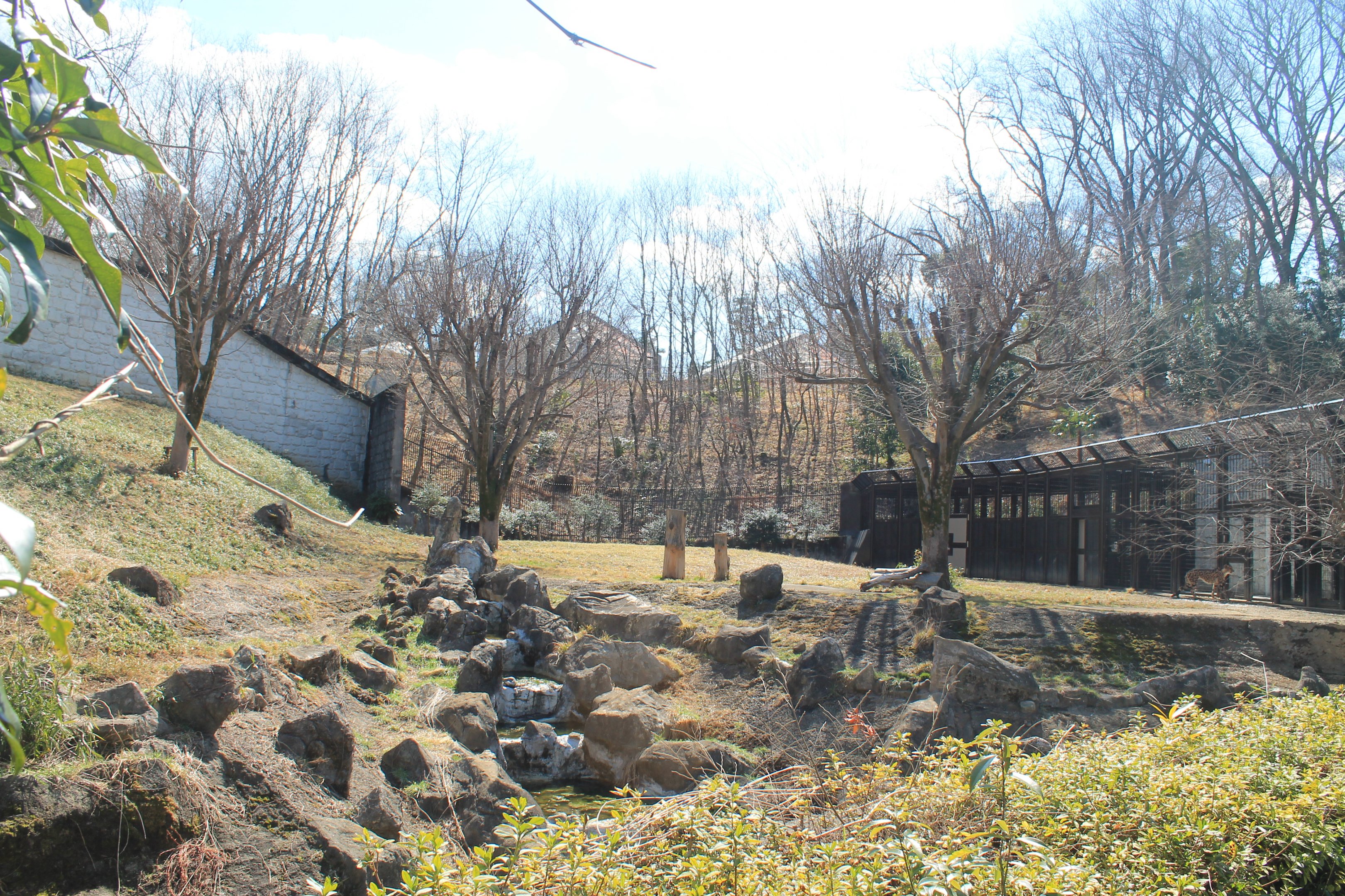 Cheetah enclosure