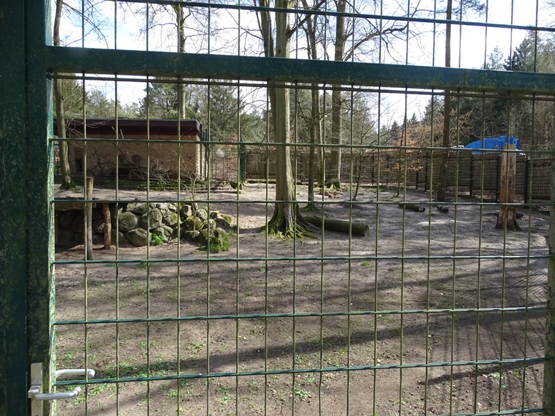 Cheetah enclosure