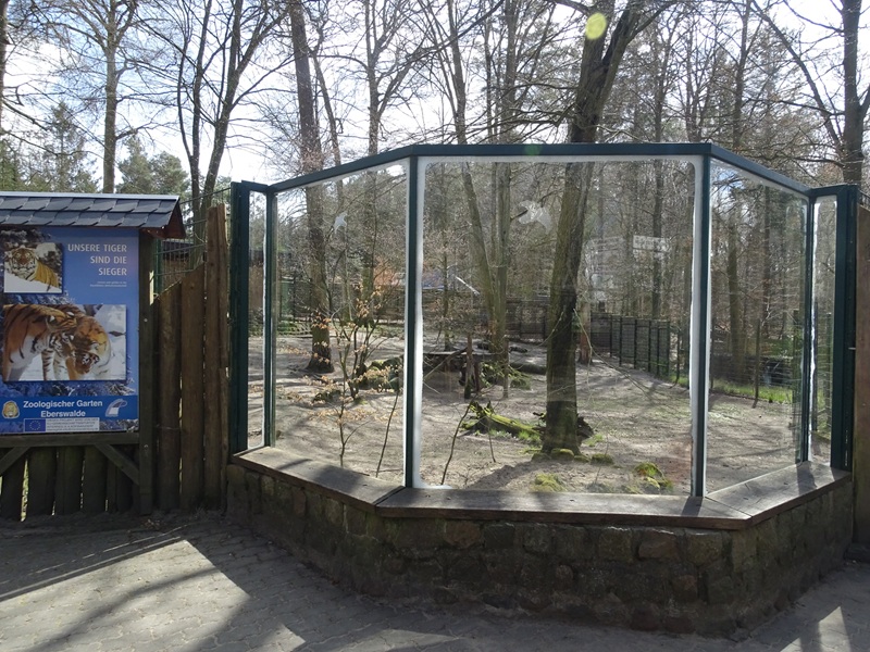 Cheetah enclosure
