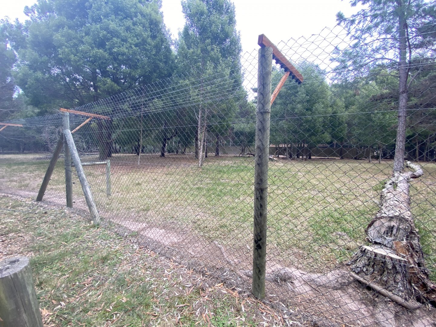 Cheetah enclosure