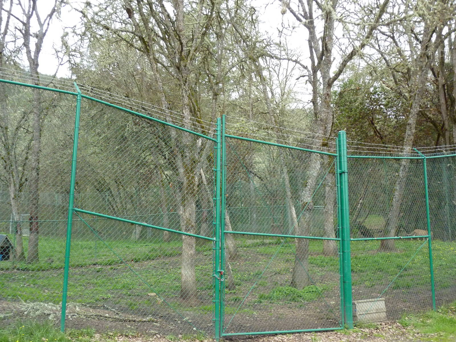 Cheetah Enclosures - 161 Cubs Have Been Born Here