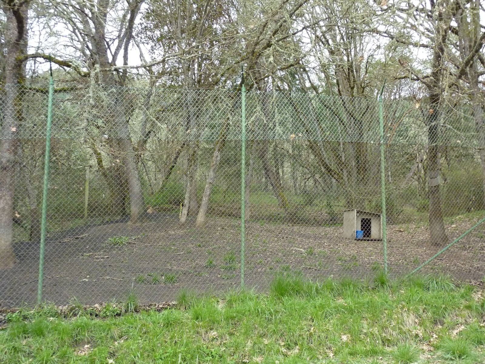 Cheetah Enclosures - 161 Cubs Have Been Born Here