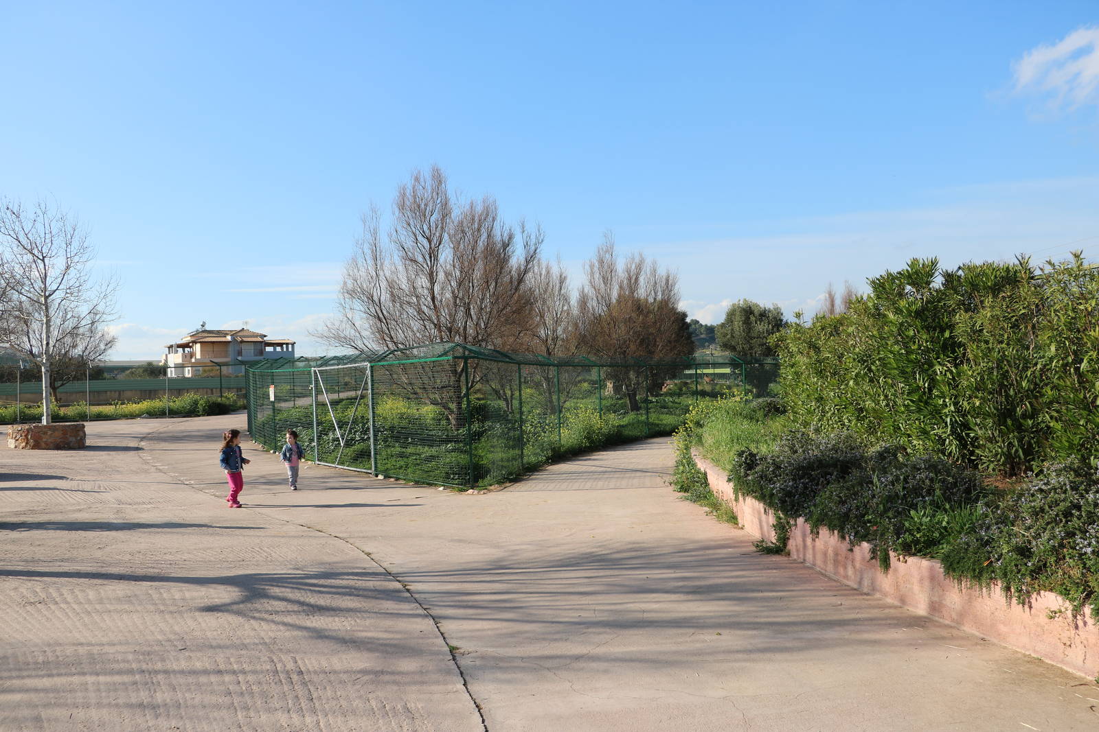 Cheetah enclosures, February 2016