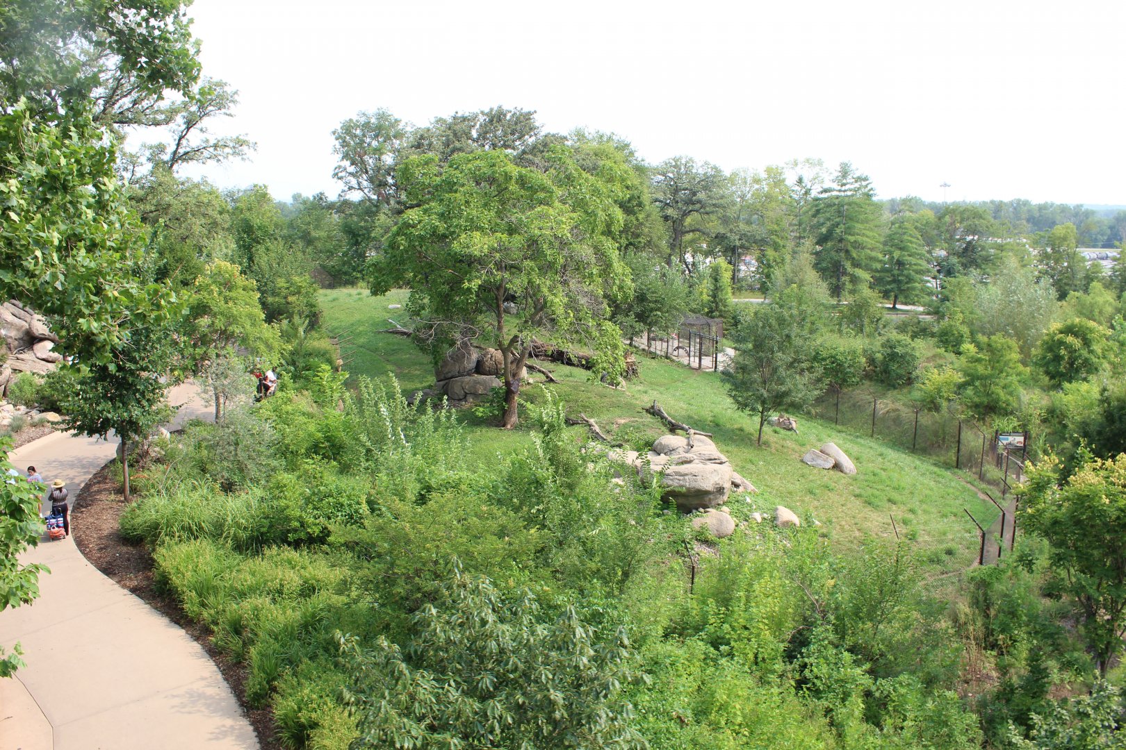 Cheetah Exhibit - African Grasslands (View from Skyfari)