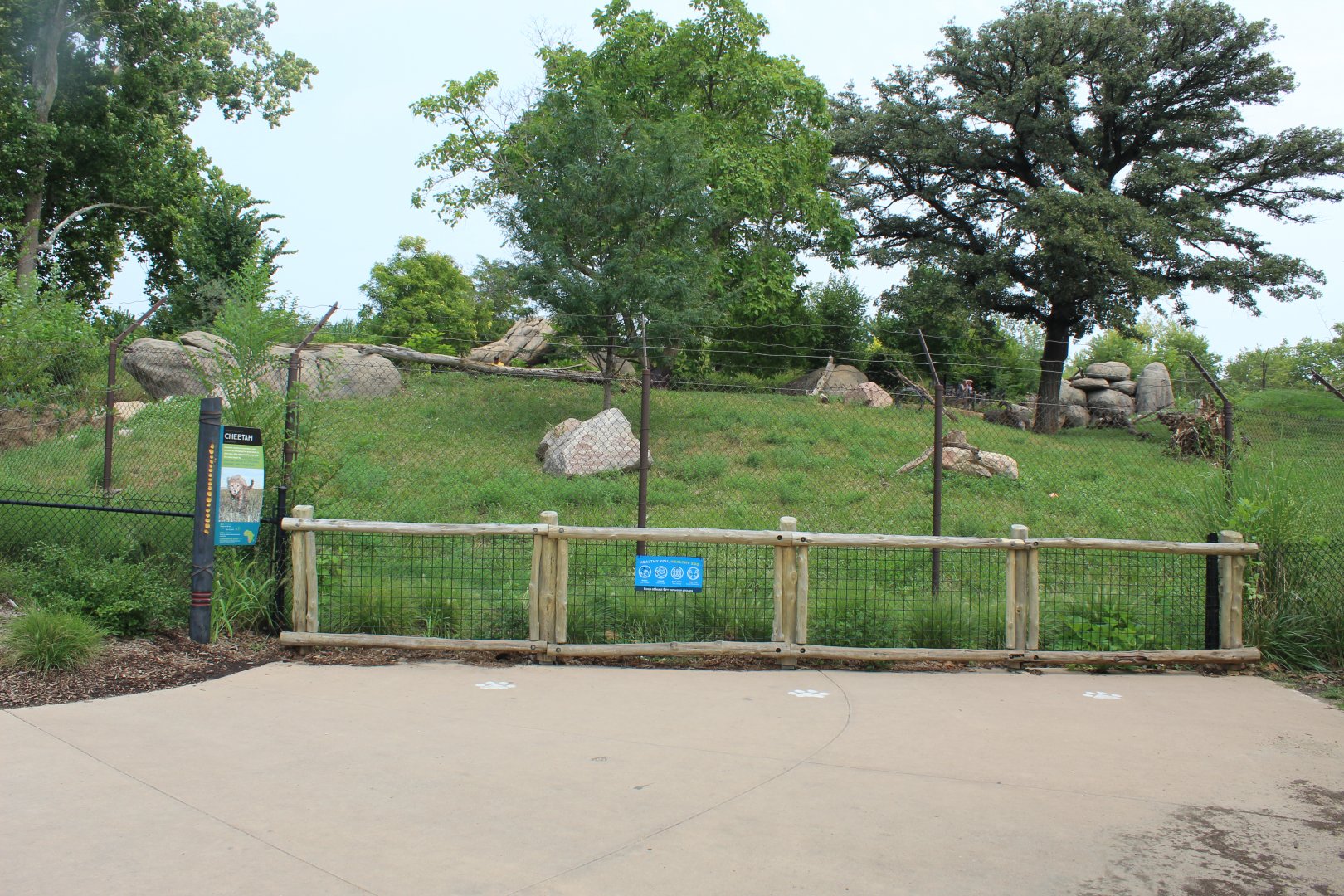 Cheetah Exhibit - African Grasslands