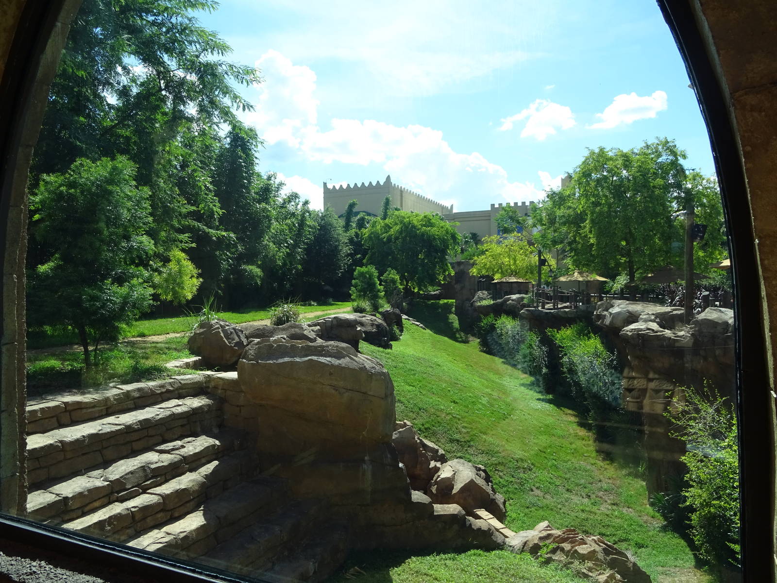 Cheetah Exhibit at Busch Gardens Tampa