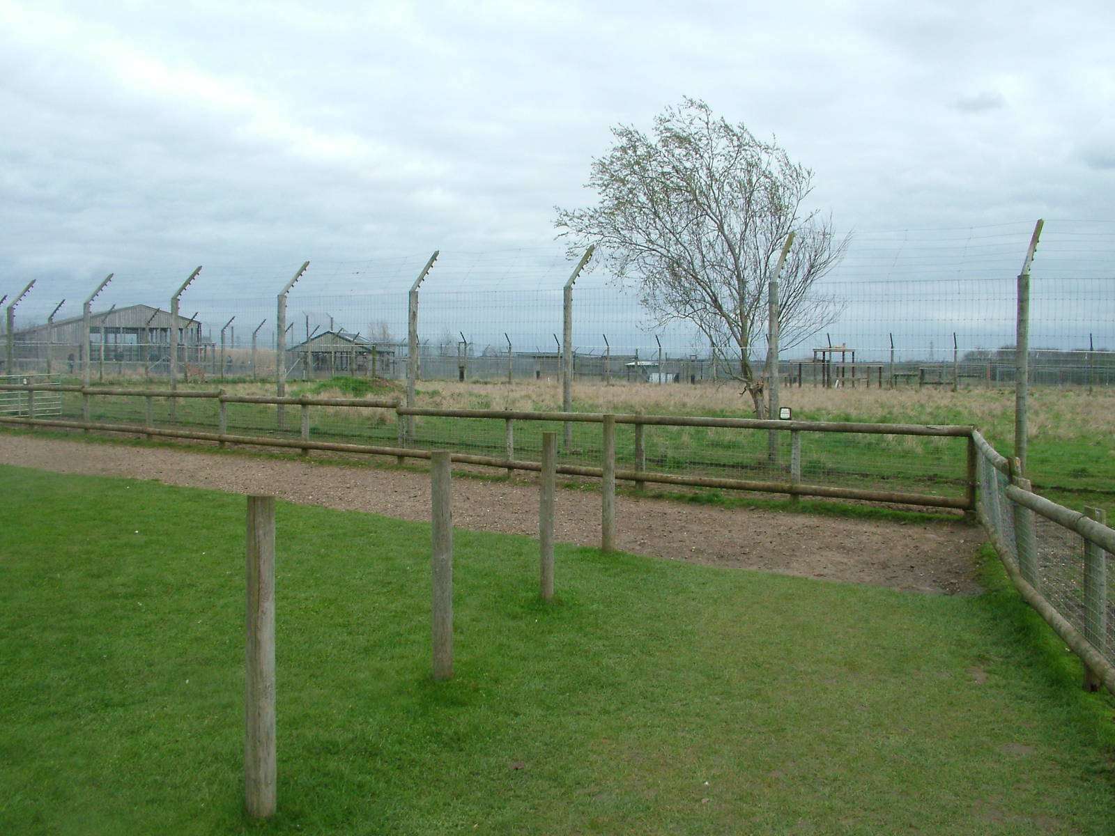 Cheetah exhibit at Hamerton 05/04/10