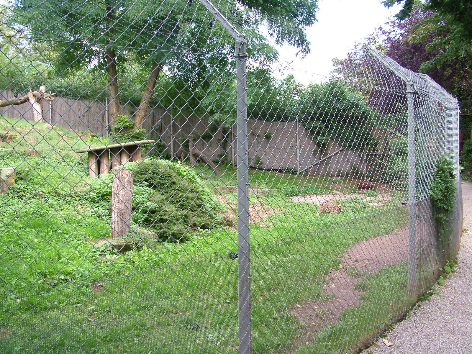 Cheetah Exhibit at Landau Zoo, 04/09/10