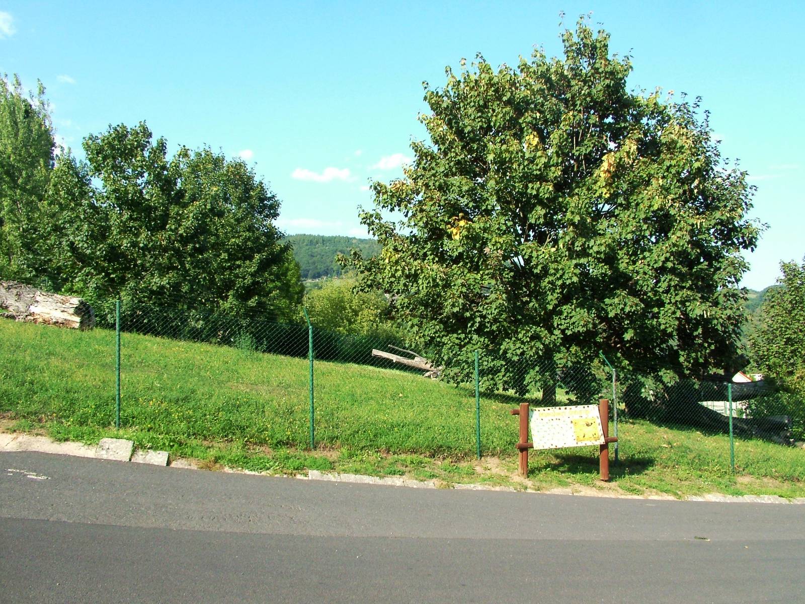 Cheetah Exhibit at Usti, 29/08/12