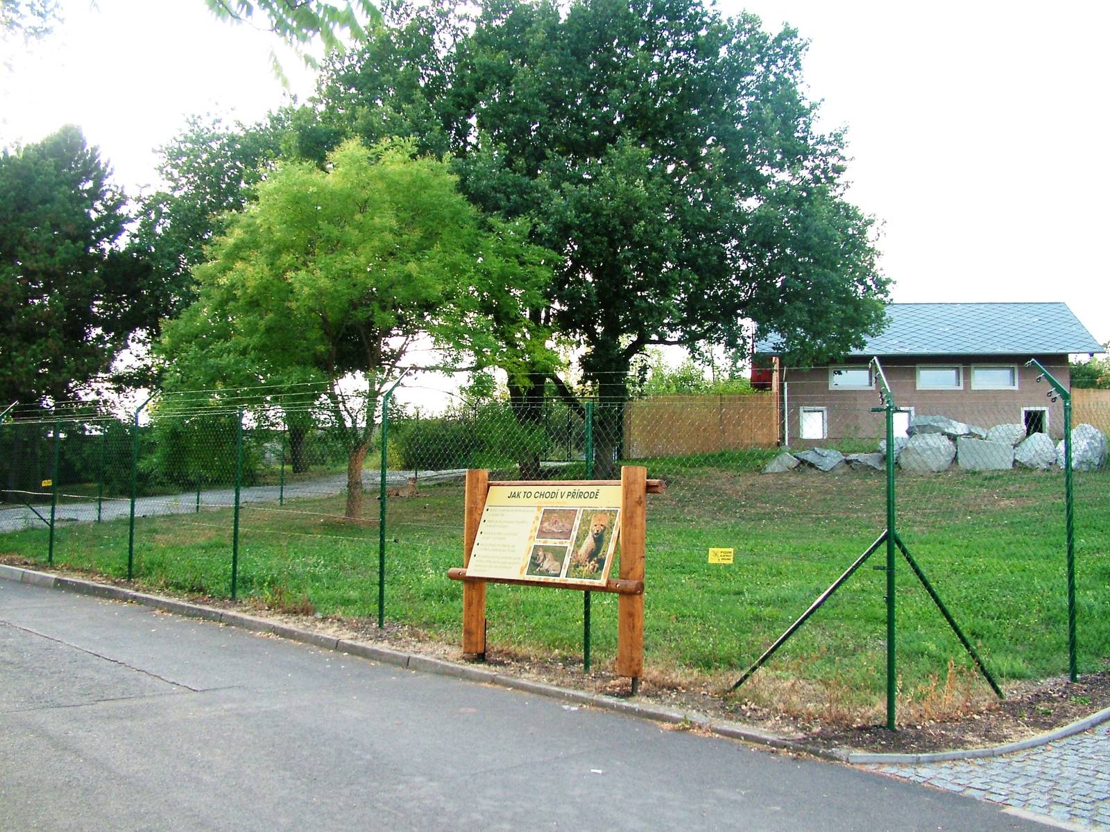Cheetah Exhibit at Usti, 29/08/12