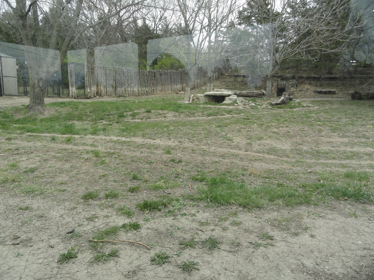 Cheetah Exhibit from Lower Viewing