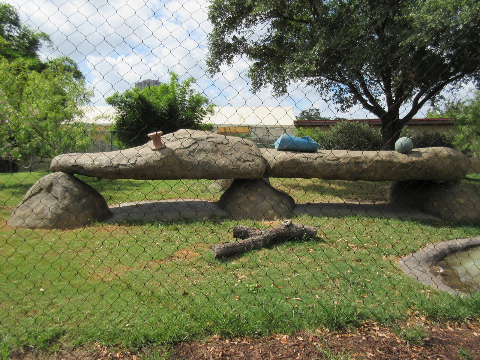 Cheetah Exhibit - hideous rockwork