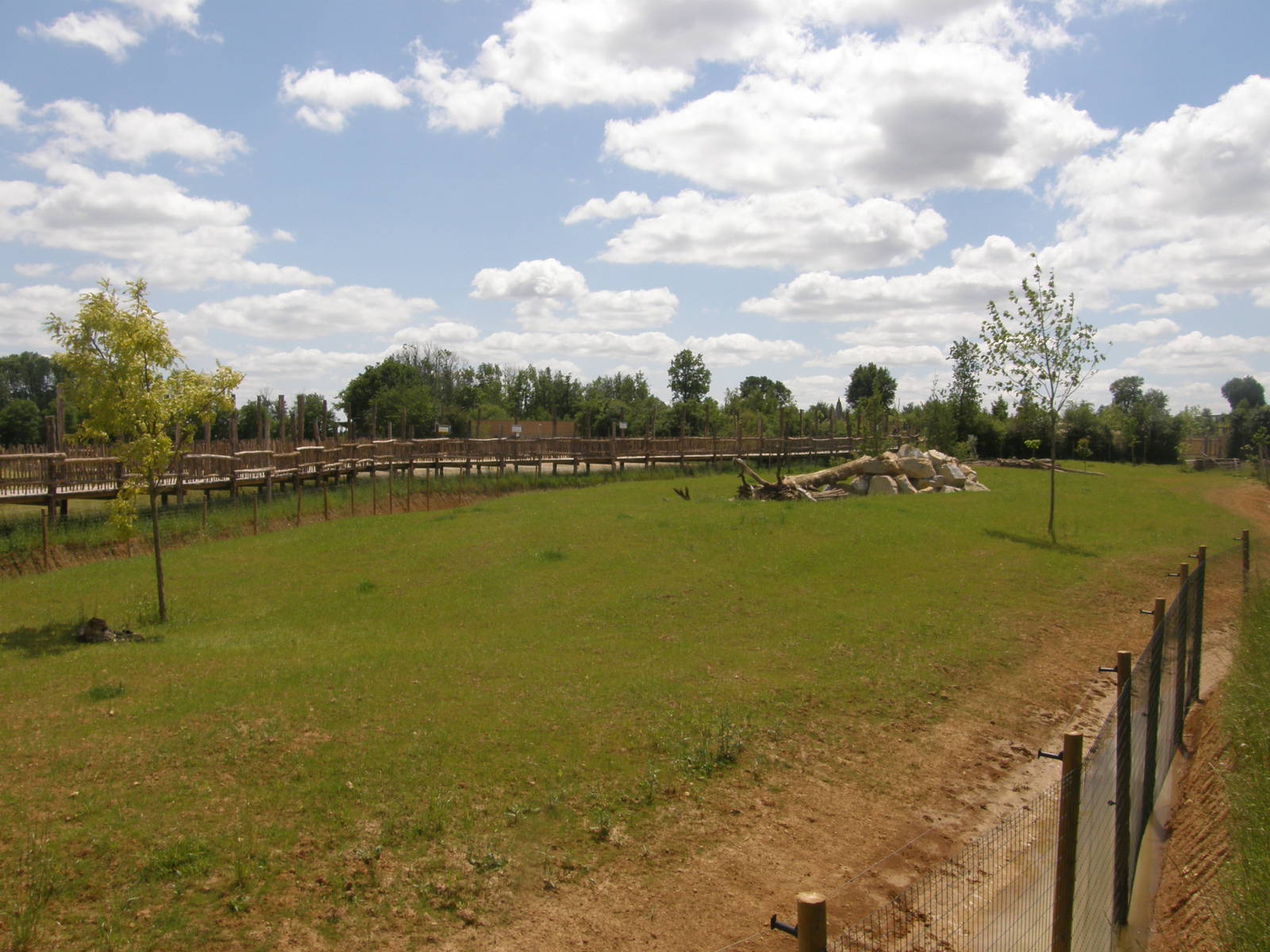 Cheetah exhibit in the African Savannah complexe