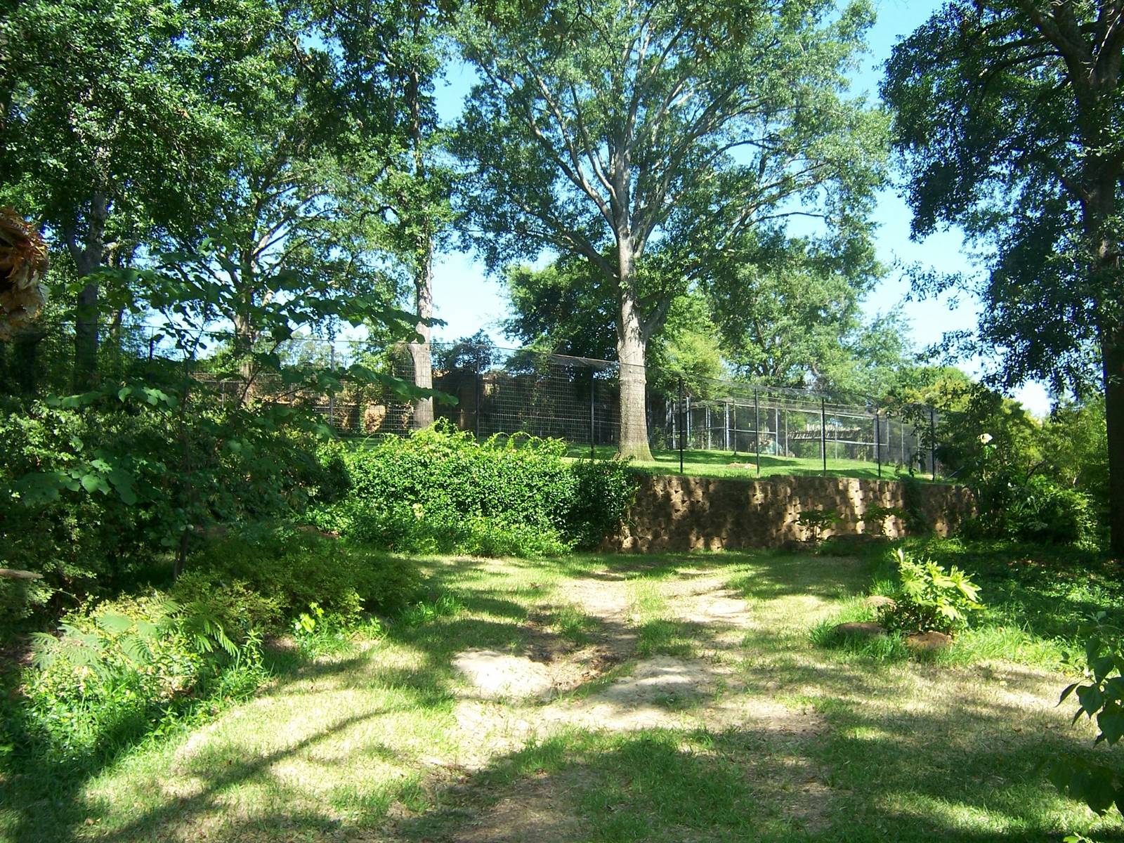 Cheetah exhibit in the background