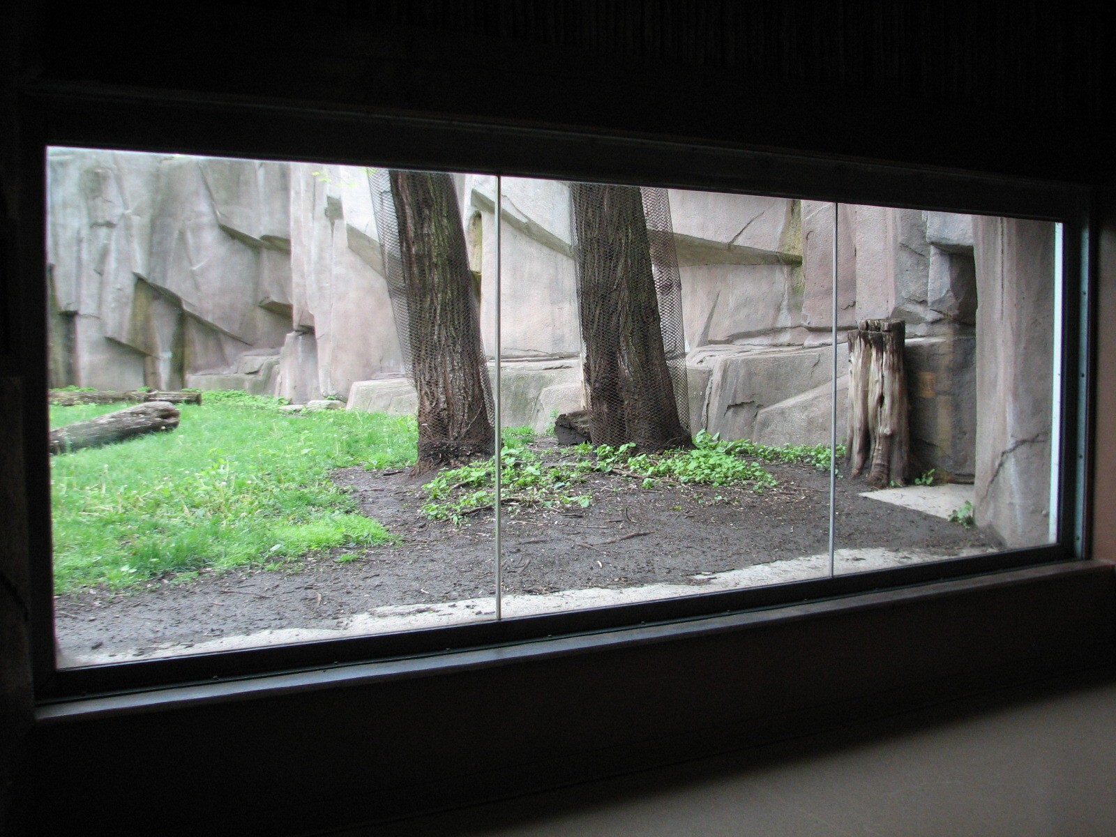 Cheetah Exhibit - Interior Viewing Window
