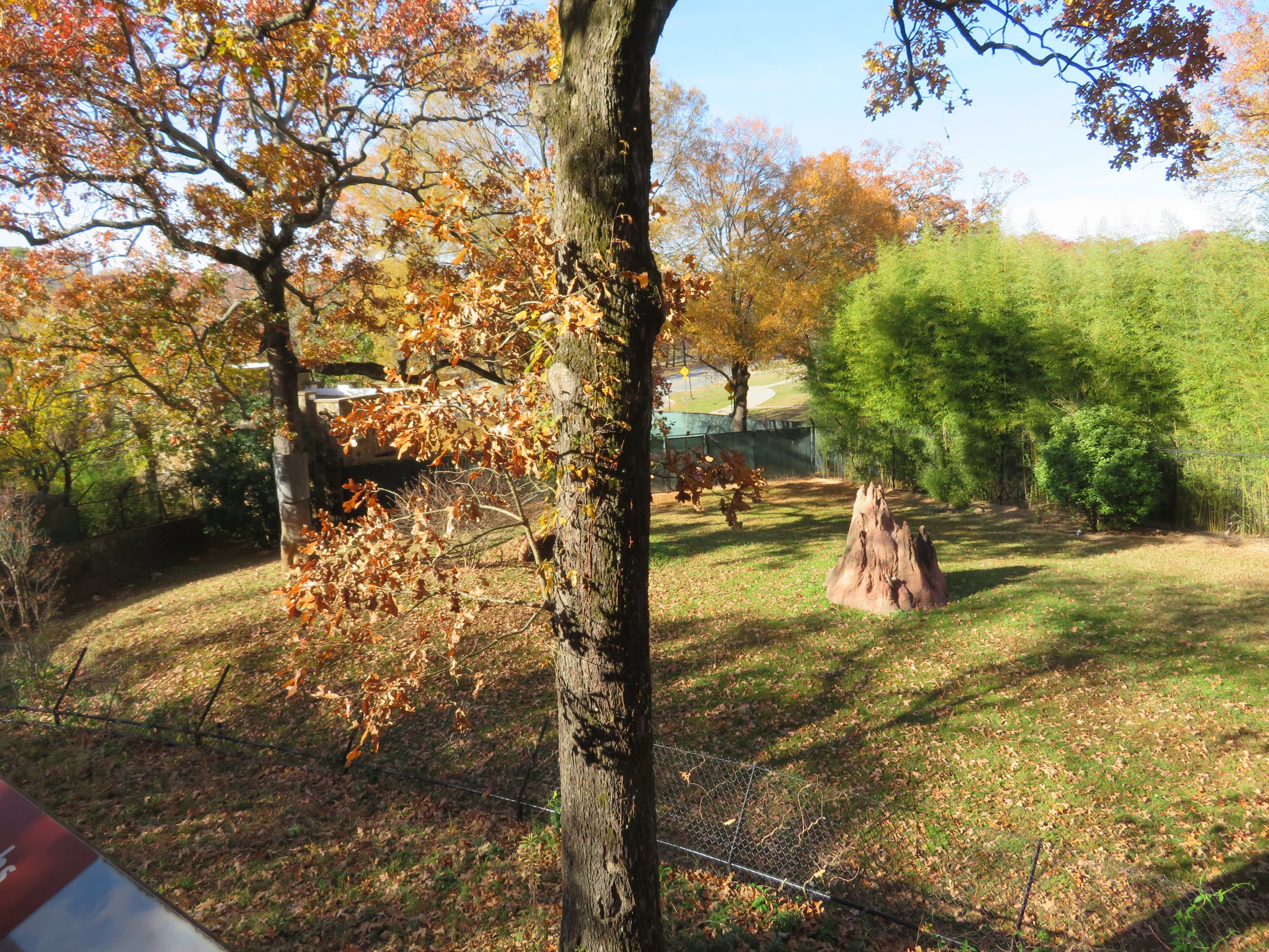 Cheetah Exhibit (Left Side)