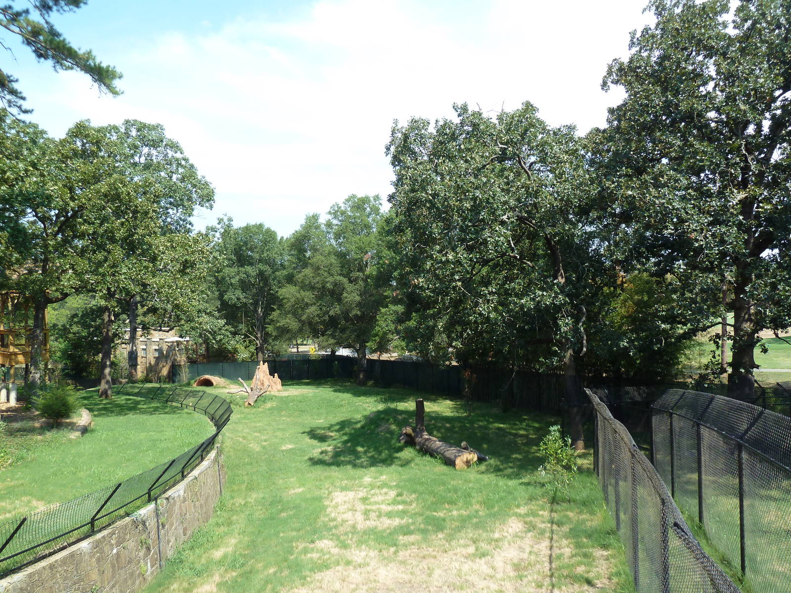 Cheetah Exhibit (New in 2012)