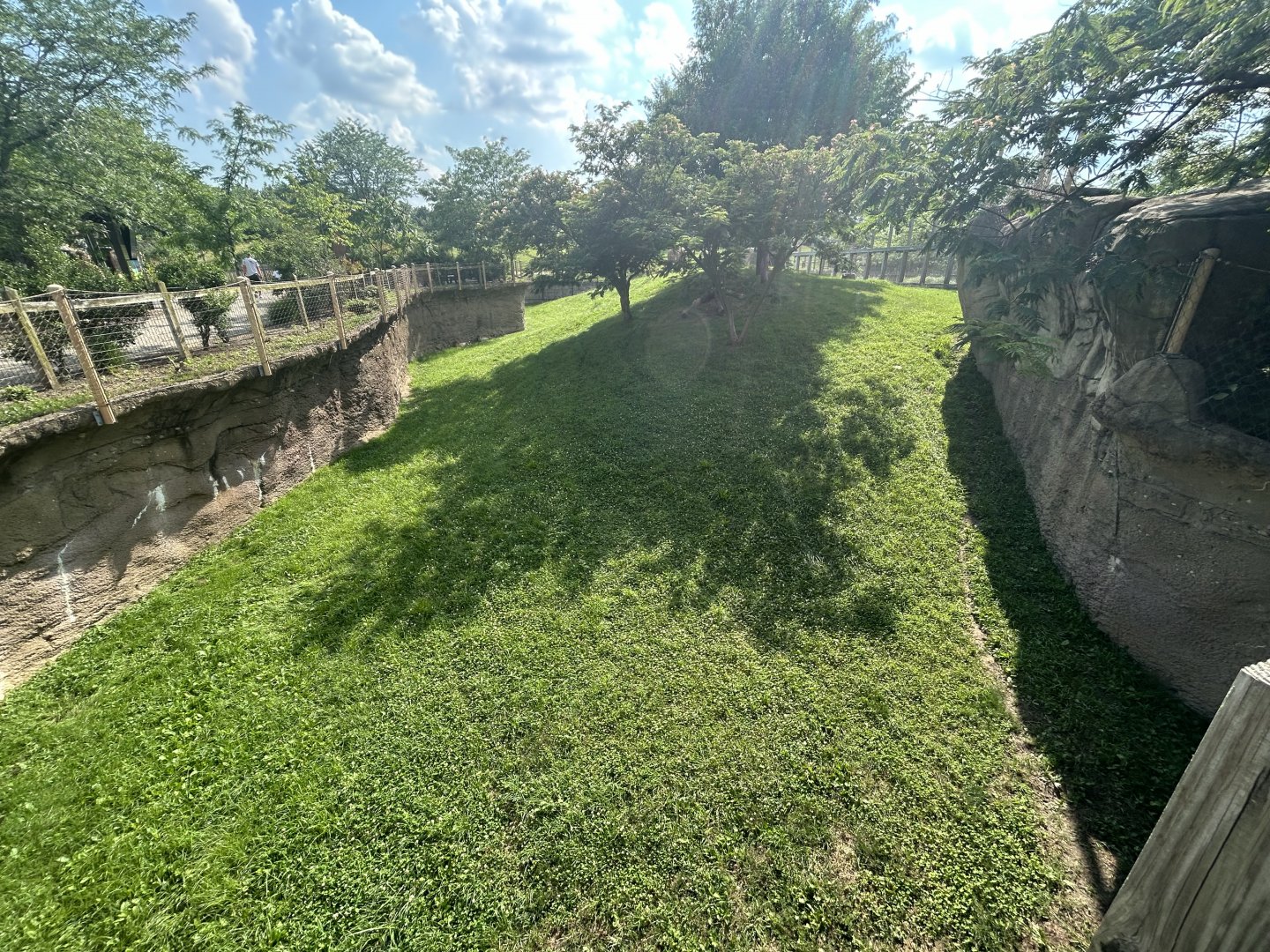 Cheetah Exhibit - Plains