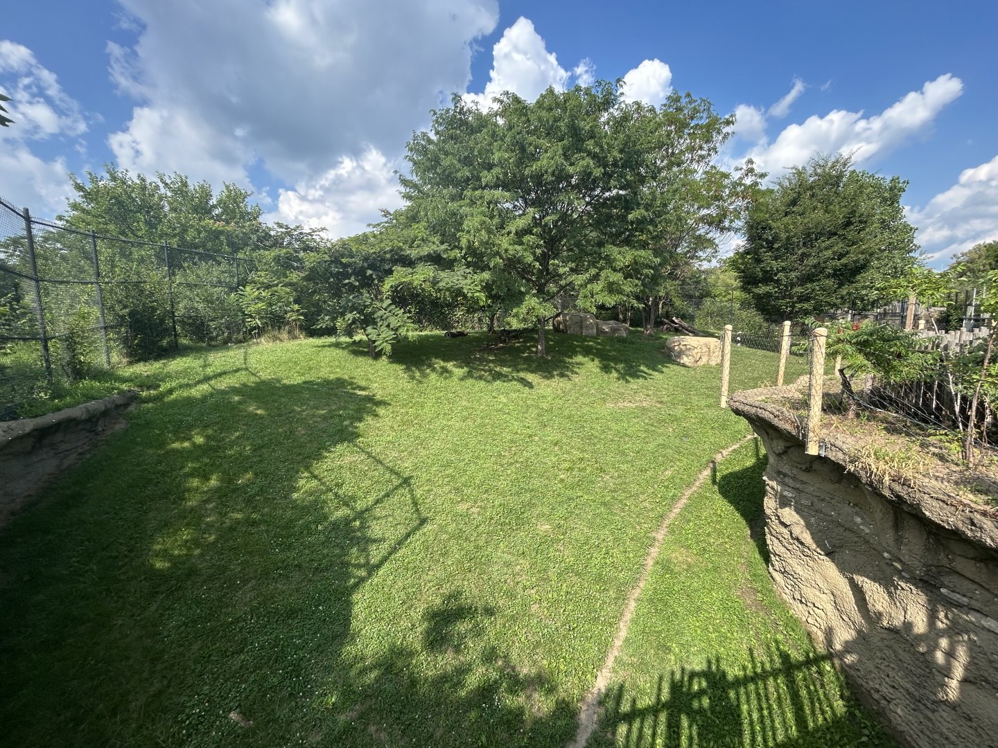 Cheetah Exhibit - Plains