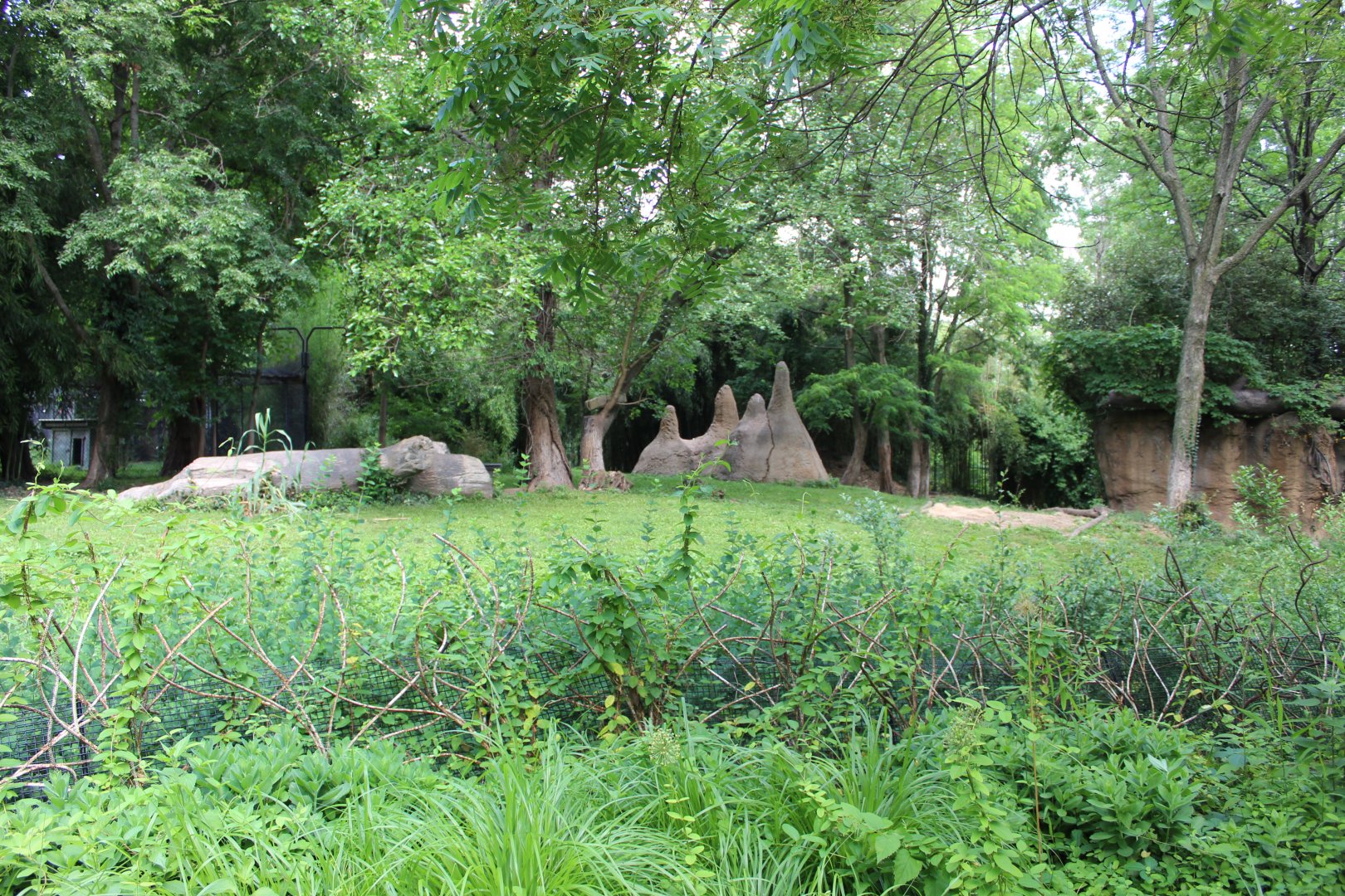 Cheetah Exhibit - Rivers Edge