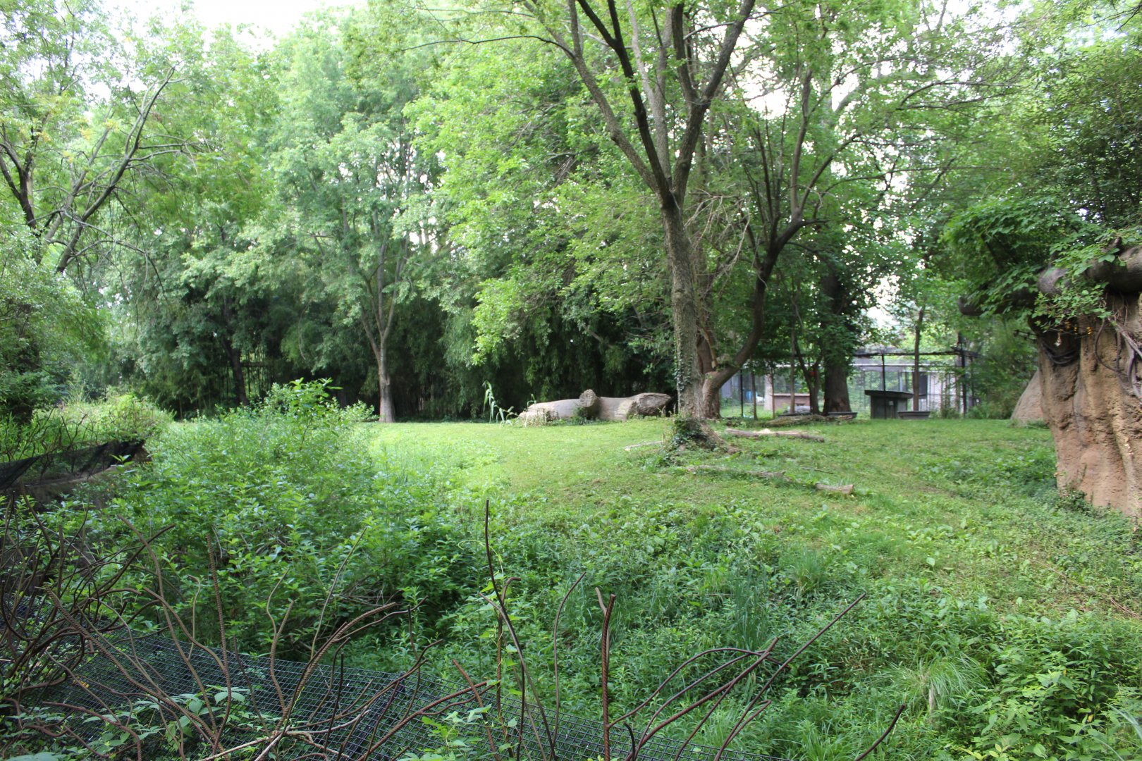 Cheetah Exhibit - Rivers Edge