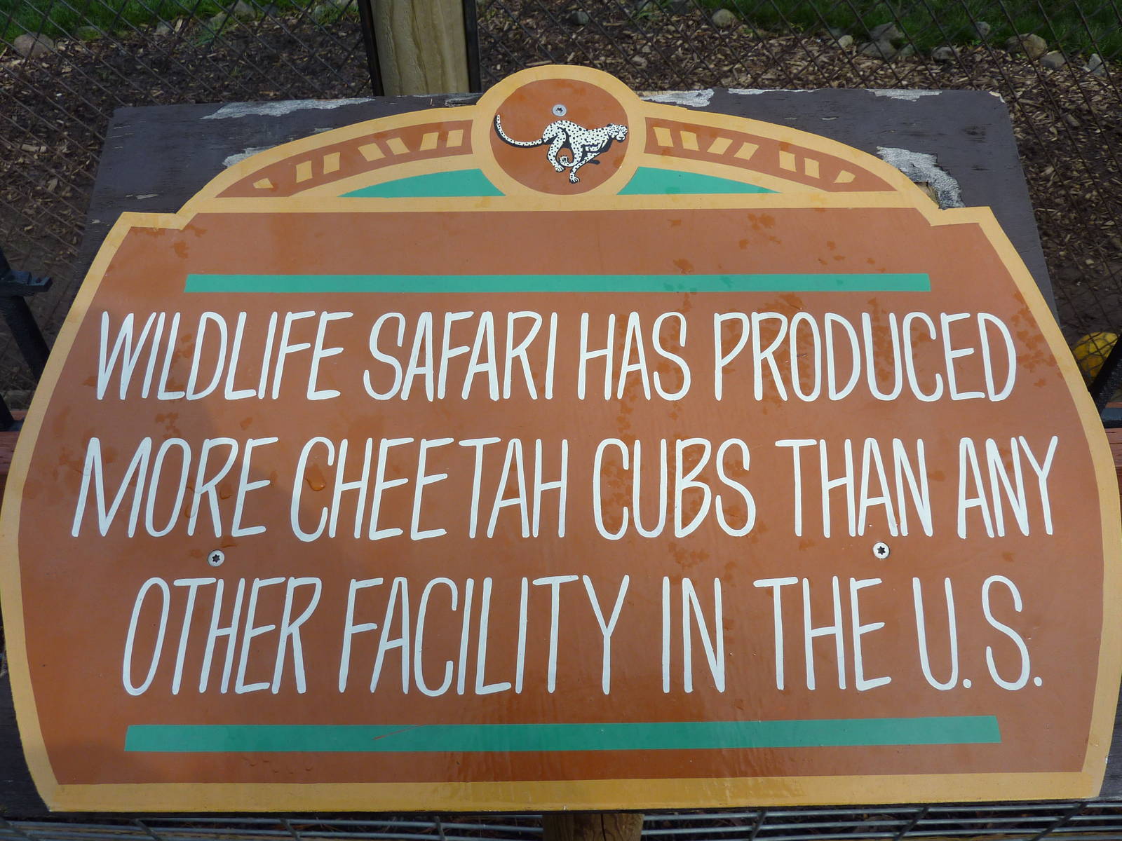Cheetah Exhibit - Sign