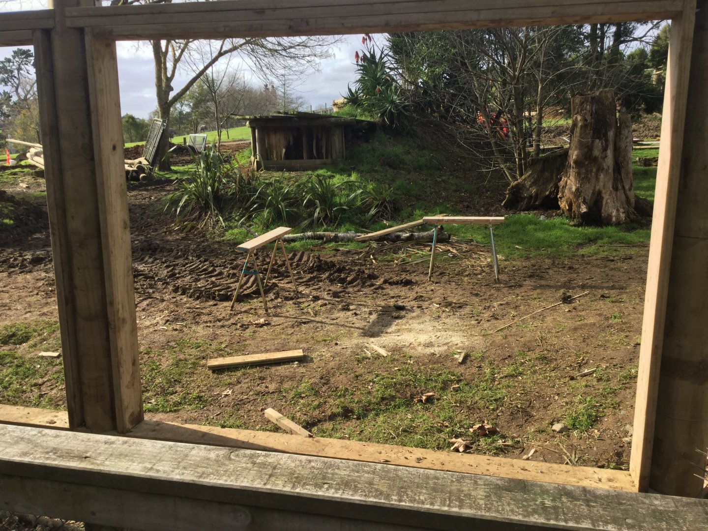 Cheetah Exhibit (Under Construction)