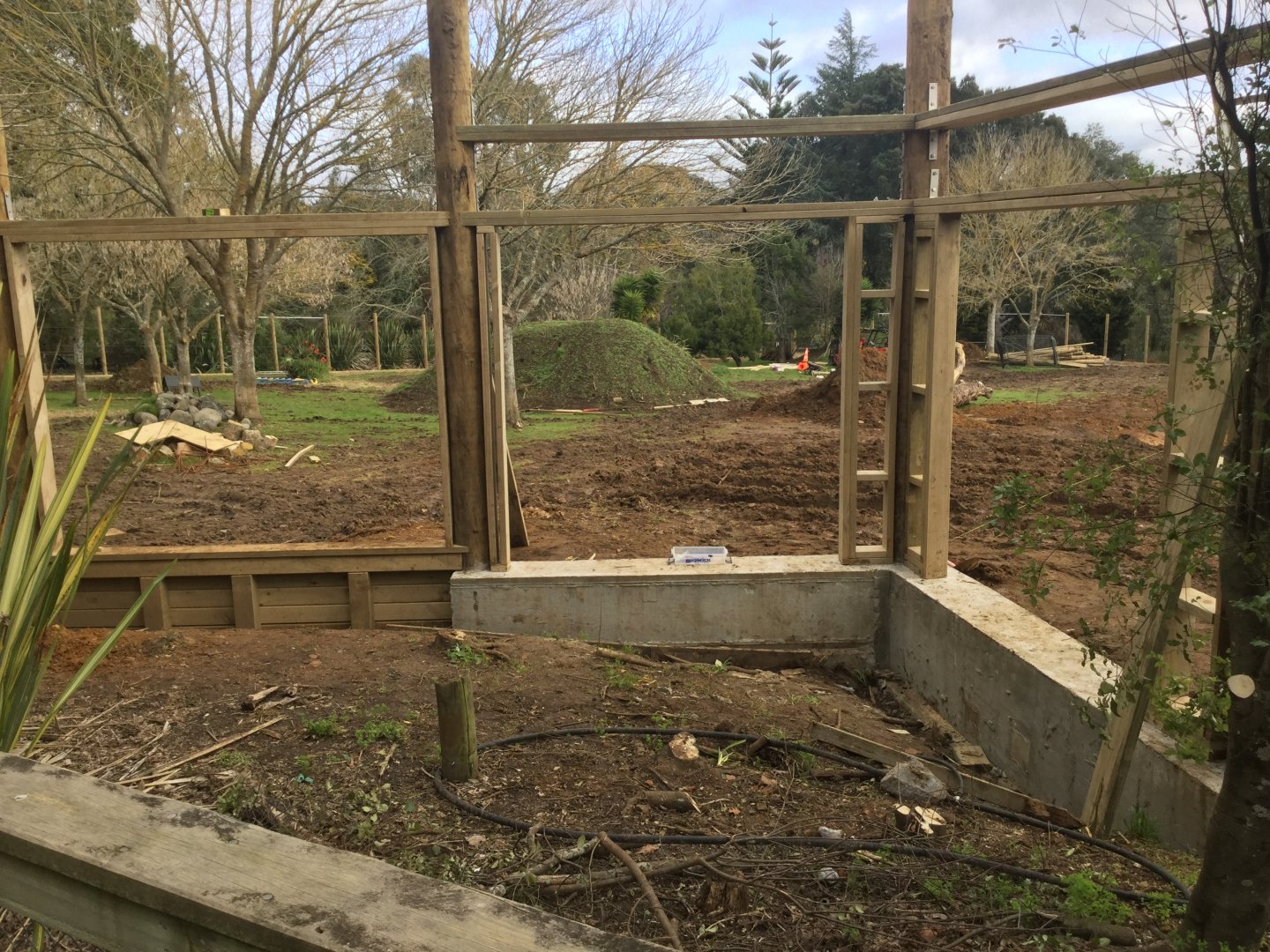 Cheetah Exhibit (Under Construction)