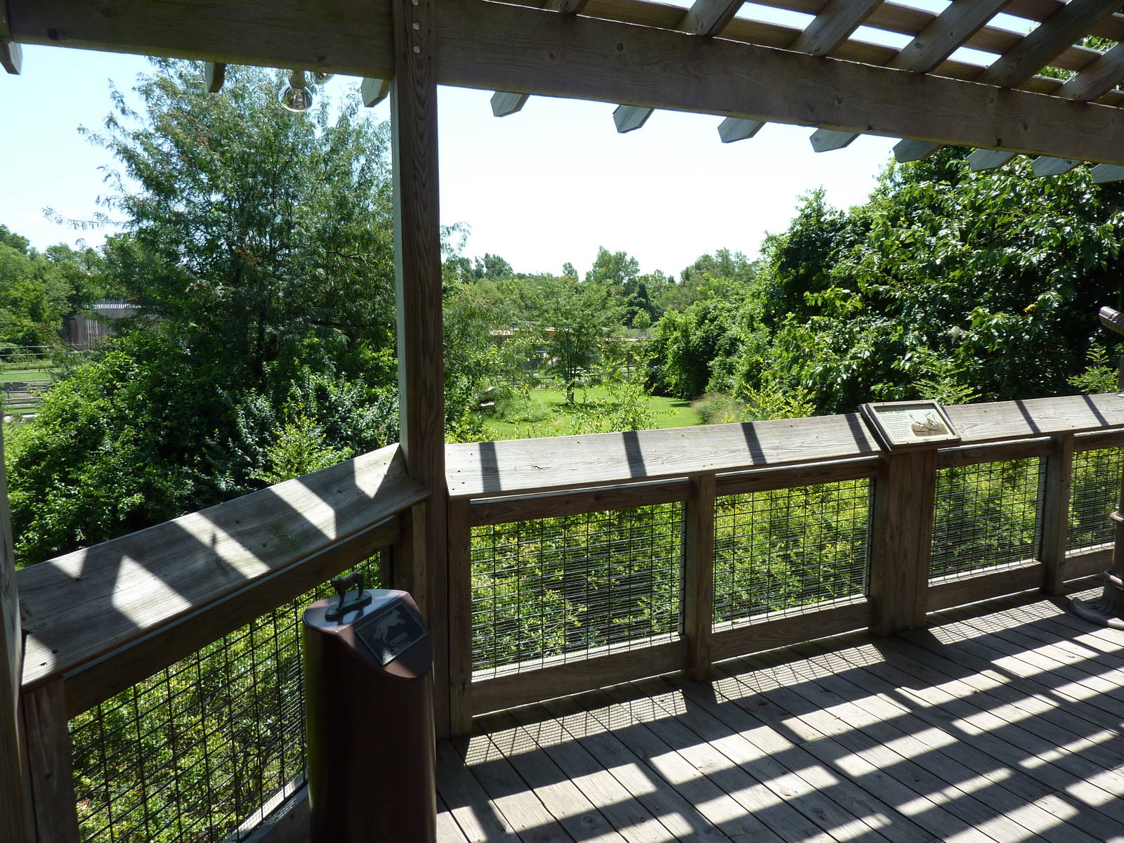 Cheetah Exhibit - Viewing Area
