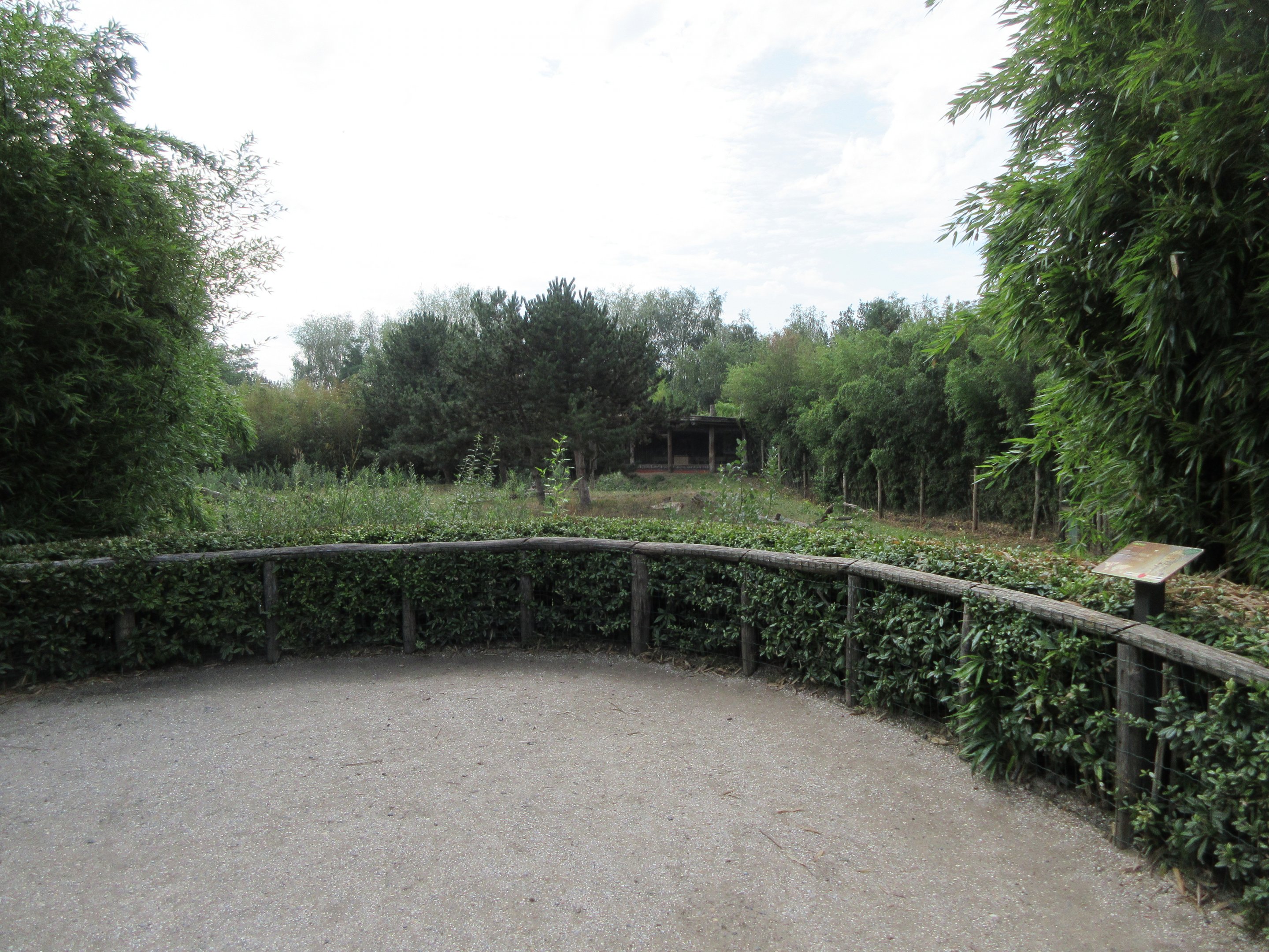 Cheetah Exhibit - viewing area