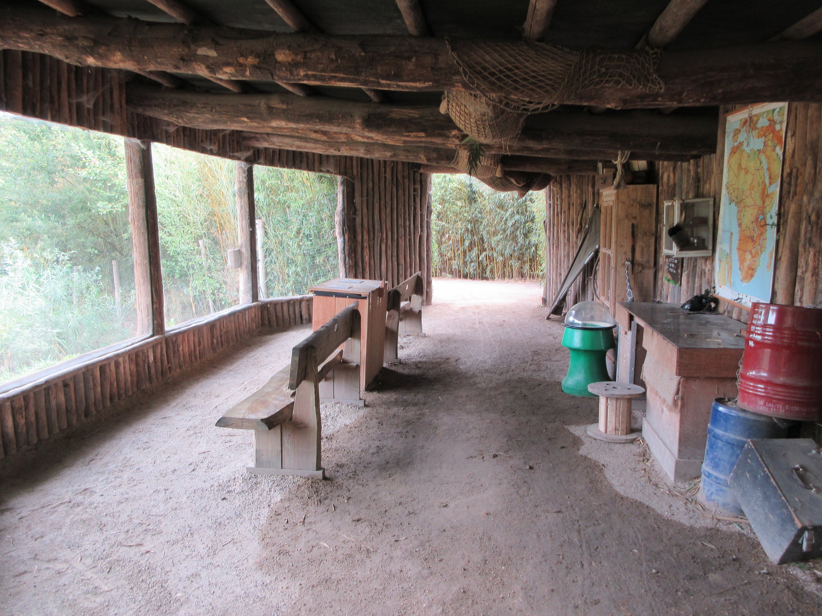 Cheetah Exhibit - viewing area