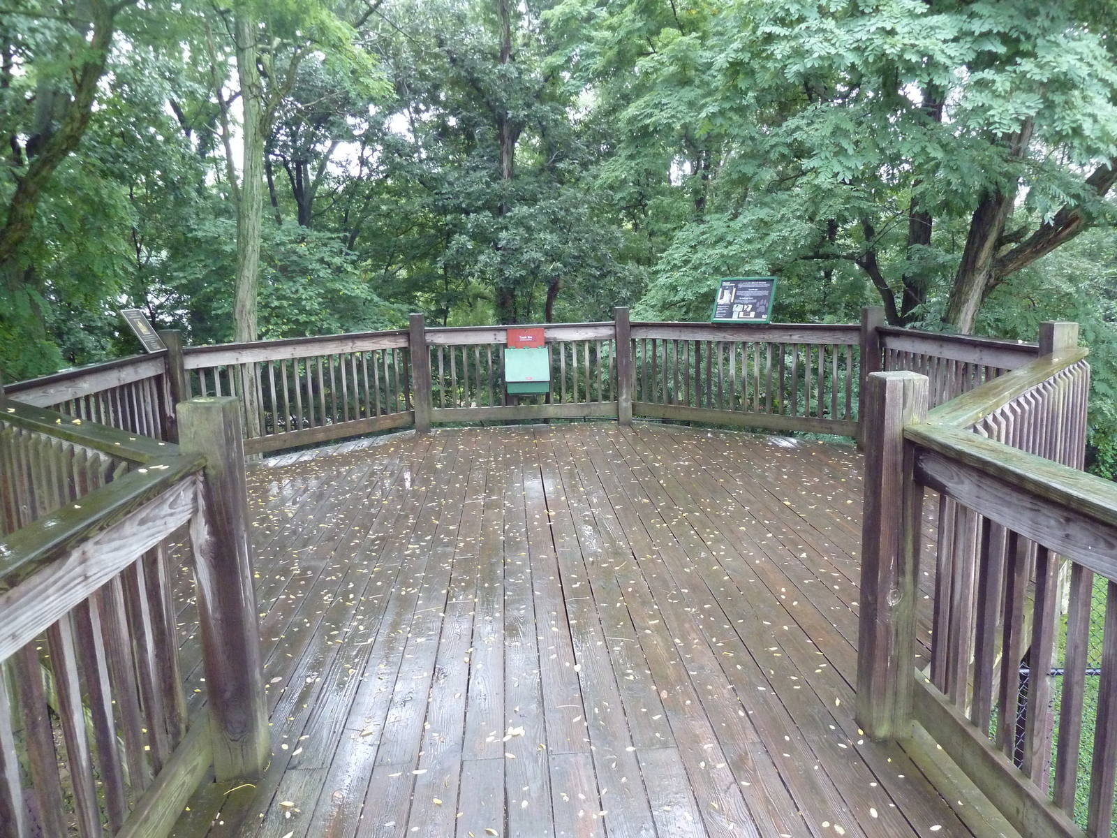 Cheetah Exhibit - Viewing Deck