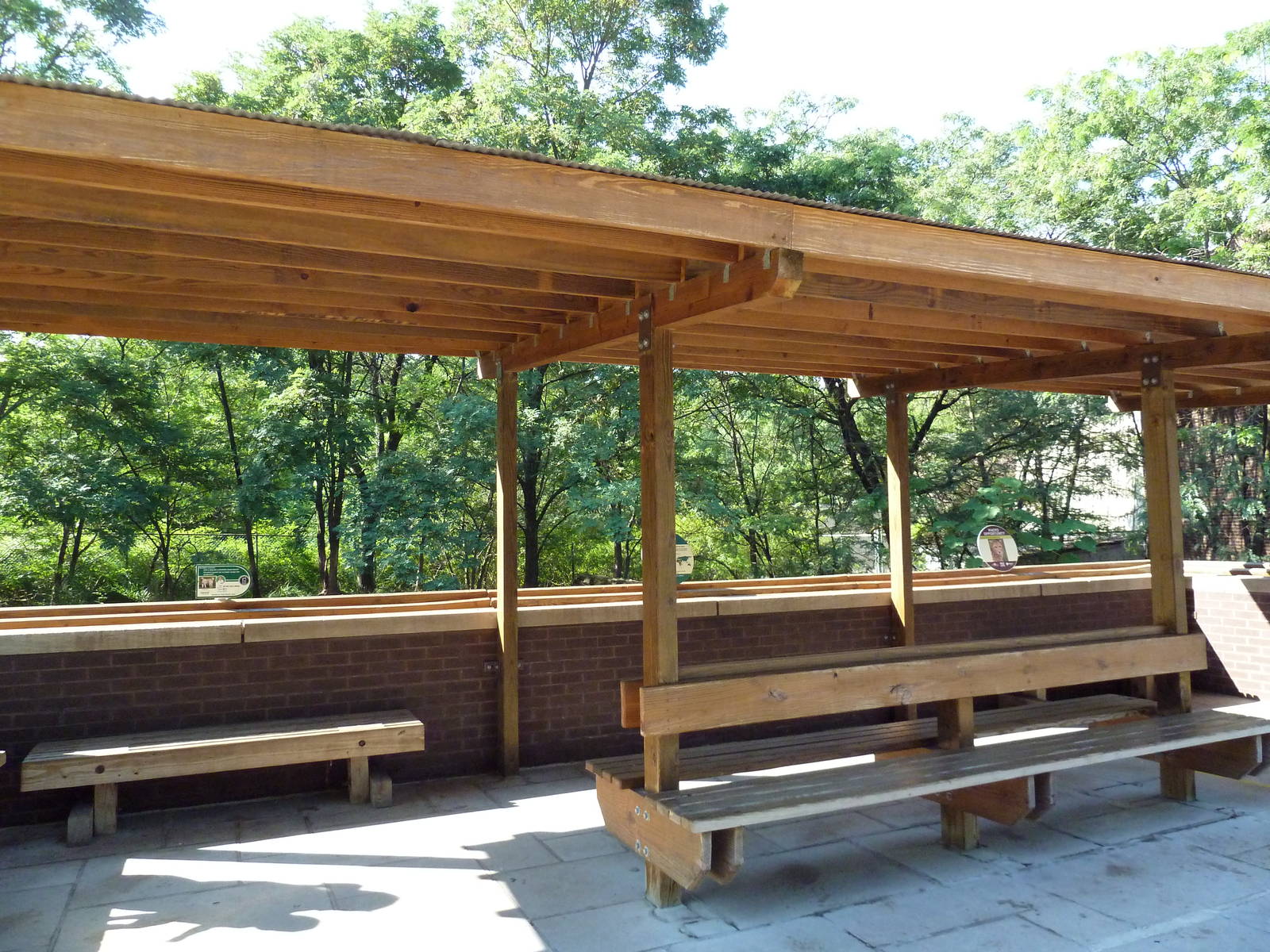 Cheetah Exhibit - Viewing Platform